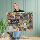 Search for paw photography Dog lover