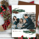 Search for pine cones cards Minimalist