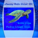 Search for turtle greeting postcards Wildlife