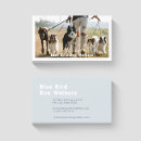 Search for pack business cards Modern