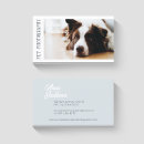 Search for bordered photography Border collie