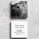 Search for sitting photography Pet sitter