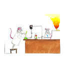 Search for sciences cards Lab