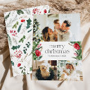 Search for winter christmas cards Merry