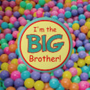 Search for new big brother badges Sibling