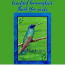Search for teal turquoise thank you cards Script