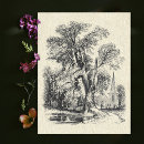 Search for vintage country postcards Rustic
