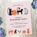 Search for black kitty invitations Whimsical