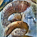 Search for farm animal tiles Animals