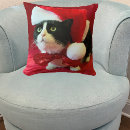 Search for black cat christmas cushions Animal