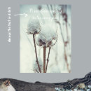 Search for minimalist landscape posters Botanical