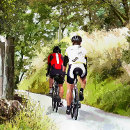 Search for road cycling posters Cycles
