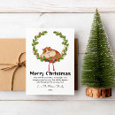 Search for guinea pig christmas cards Guineapigs