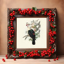 Search for white pigeon posters Dove