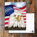 Search for bird lover postcards Eagle