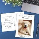 Search for dog wedding save the dates Pets