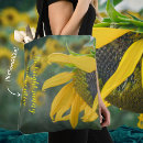 Search for optimistic bags Sunflower