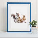 Search for chipmunk Squirrel