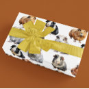 Search for guinea pig wrapping paper Pet