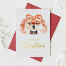 Search for pomeranian christmas cards Dog