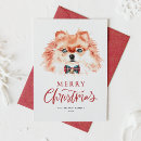 Search for pomeranian christmas cards Dog