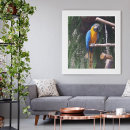Search for gold macaw posters Blue