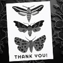 Search for insect thank you cards Modern