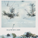 Search for spirits photography Inspirational