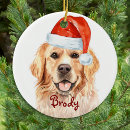 Search for golden retriever christmas decor Cute