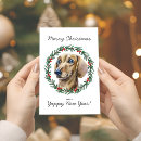 Search for sausage dog christmas cards Modern