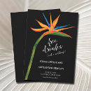 Search for bird save Bird of paradise
