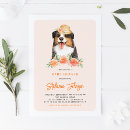 Search for border collie invitations Watercolor