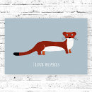 Search for cute ferret posters Weasel