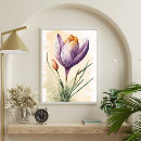 Search for crocus art Watercolor