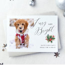 Search for furry christmas cards Cat