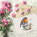 Search for european robin bird postcards Watercolor