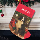 Search for cat christmas stockings Red white