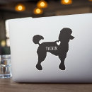 Search for large breed Animal lover