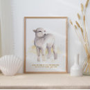 Search for lambs posters For kids