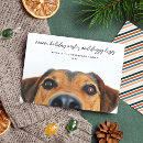 Search for warm holiday wishes Simple