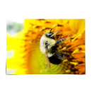 Search for bumblebee cards Sunflower