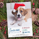 Search for naughty santa cards Dog
