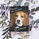 Search for face mask postcards Pet