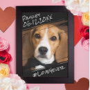 Search for pet portraits Modern