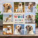 Search for picture frame plaques Cute