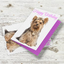 Search for yorkie birthday cards Yorkshire terrier