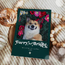 Search for funny dog christmas cards Furry and bright