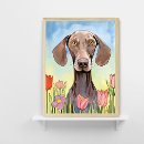 Search for weimaraner art Canine