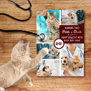 Search for vet christmas cards Doctor