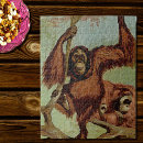 Search for orangutan puzzles Wild animals